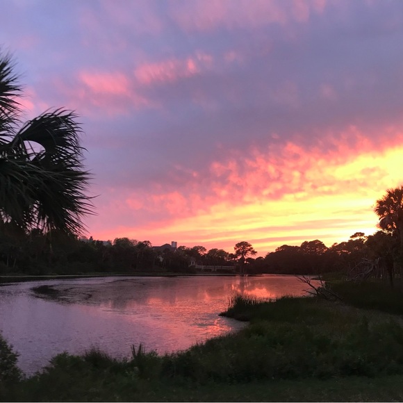 Bookmark for Live Shows- Activewear, Jeffree Star, Free People skincare jewelry - Picture 2 of 10